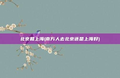 北京和上海(南方人去北京还是上海好)