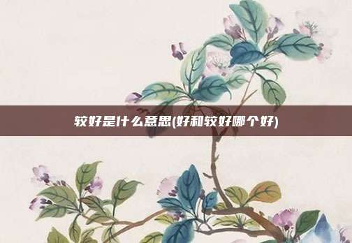较好是什么意思(好和较好哪个好)