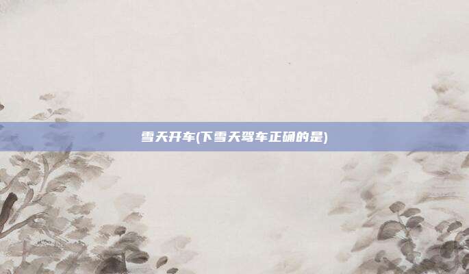 雪天开车(下雪天驾车正确的是)