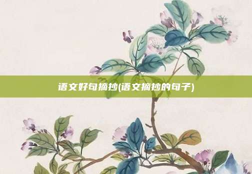 语文好句摘抄(语文摘抄的句子)