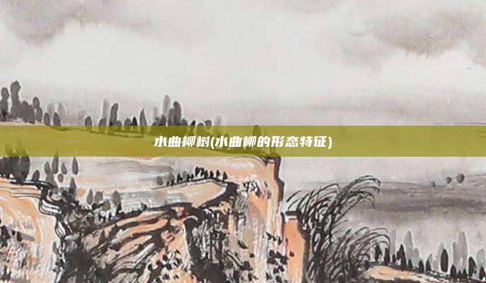 水曲柳树(水曲柳的形态特征)