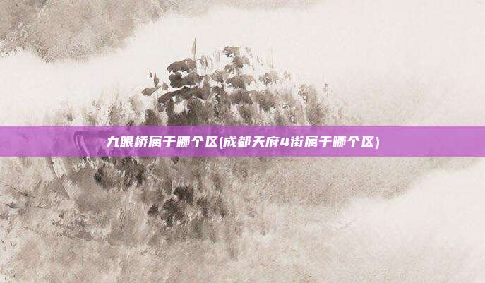 九眼桥属于哪个区(成都天府4街属于哪个区)