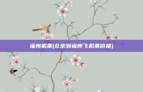 福州机票(北京到福州飞机票价格)