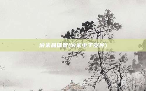 纳米晶体管(纳米电子器件)
