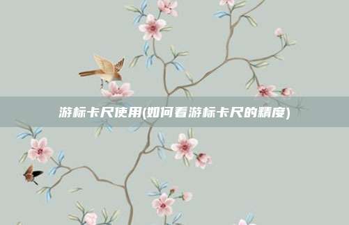 游标卡尺使用(如何看游标卡尺的精度)