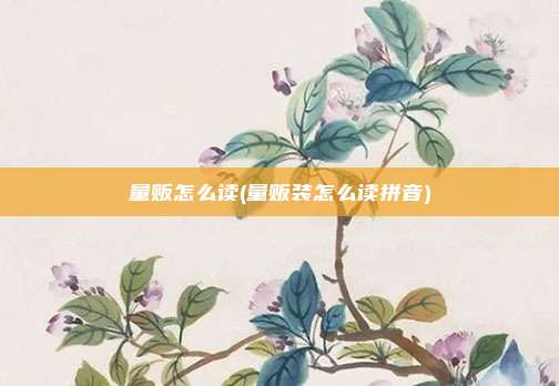 量贩怎么读(量贩装怎么读拼音)
