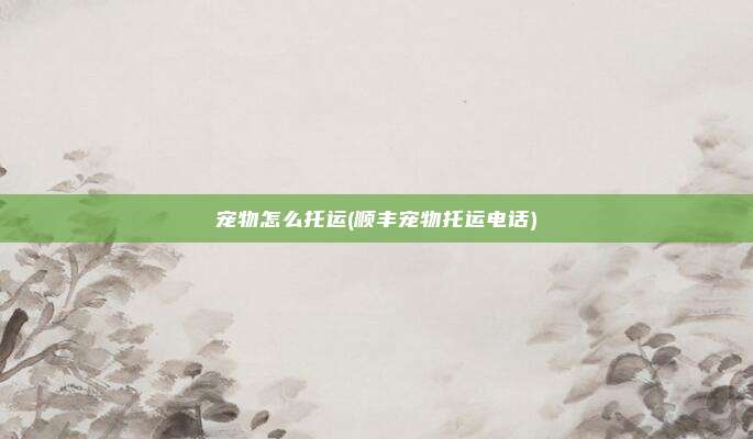 宠物怎么托运(顺丰宠物托运电话)