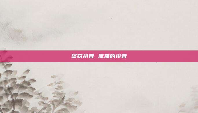 盗窃拼音 流荡的拼音