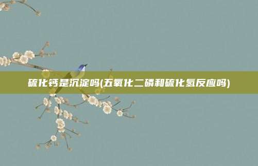 硫化钙是沉淀吗(五氧化二磷和硫化氢反应吗)
