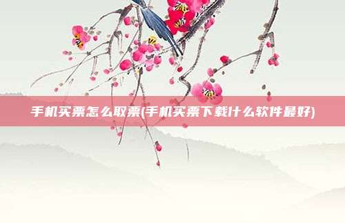 手机买票怎么取票(手机买票下载什么软件最好)