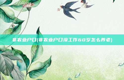 非农业户口(非农业户口没工作60岁怎么养老)