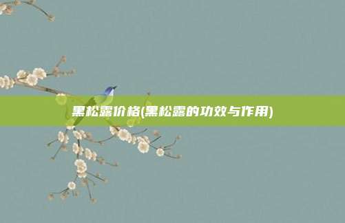 黑松露价格(黑松露的功效与作用)
