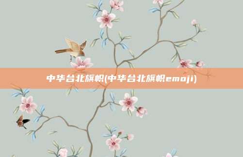 中华台北旗帜(中华台北旗帜emoji)
