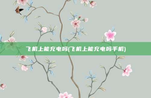 飞机上能充电吗(飞机上能充电吗手机)