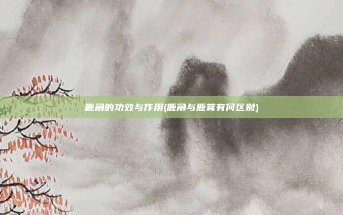 鹿角的功效与作用(鹿角与鹿茸有何区别)