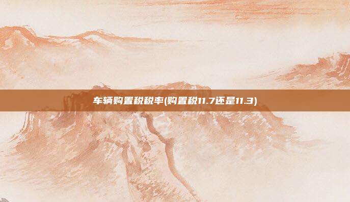 车辆购置税税率(购置税11.7还是11.3)