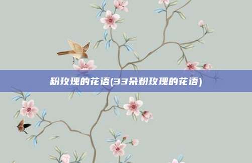 粉玫瑰的花语(33朵粉玫瑰的花语)