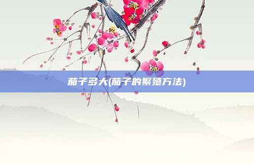 茄子多大(茄子的繁殖方法)