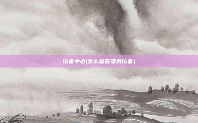 访客中心(怎么查看隐身访客)