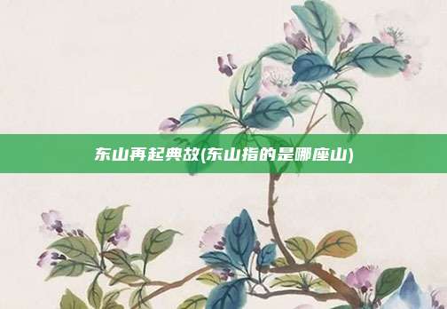 东山再起典故(东山指的是哪座山)