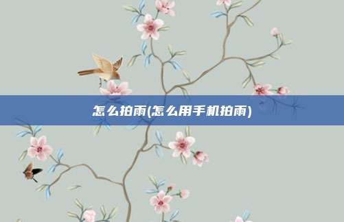 怎么拍雨(怎么用手机拍雨)