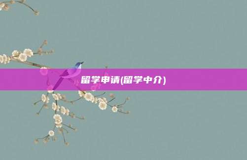 留学申请(留学中介)