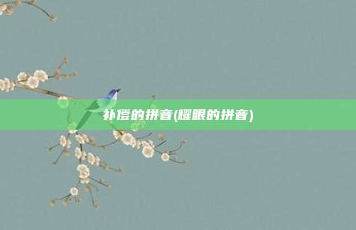 补偿的拼音(耀眼的拼音)