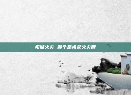 初期火灾 哪个是初起火灾呢