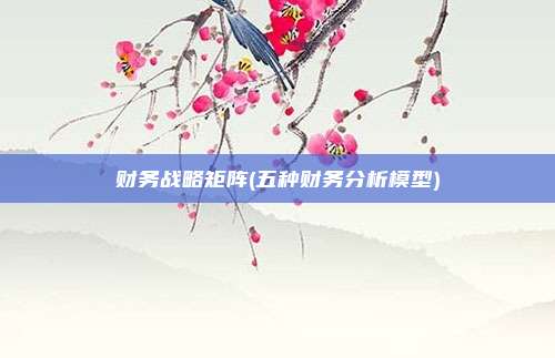 财务战略矩阵(五种财务分析模型)