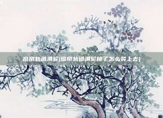 窗帘轨道滑轮(窗帘轨道滑轮掉了怎么装上去)