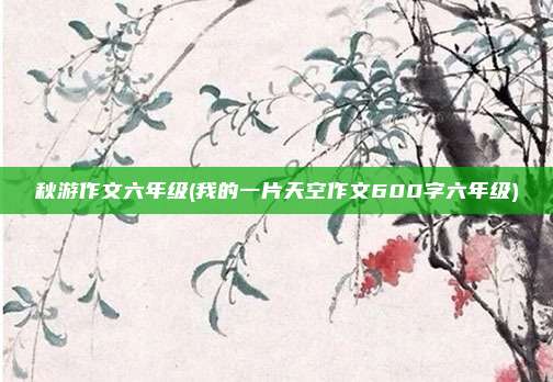 秋游作文六年级(我的一片天空作文600字六年级)