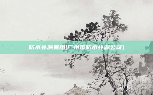 防水补漏费用(广州市防水补漏公司)