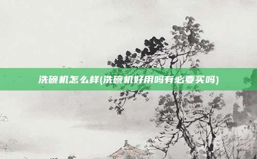 洗碗机怎么样(洗碗机好用吗有必要买吗)