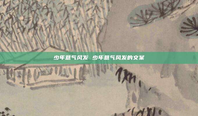 少年意气风发 少年意气风发的文案