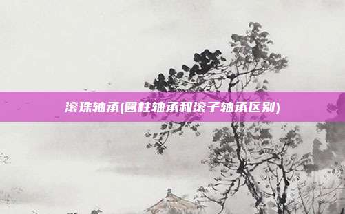 滚珠轴承(圆柱轴承和滚子轴承区别)
