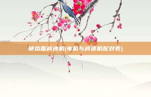 硬齿面减速机(电机与减速机配对表)