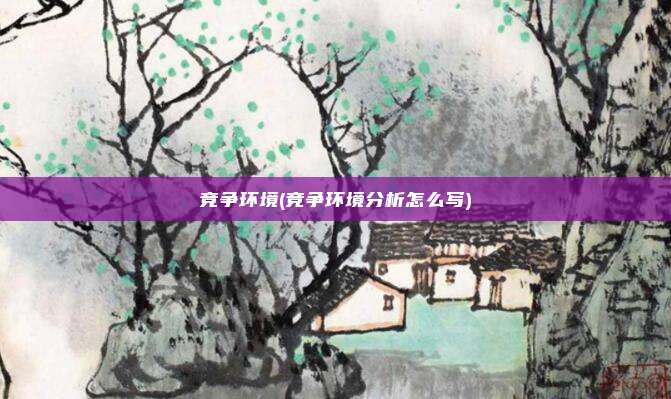 竞争环境(竞争环境分析怎么写)