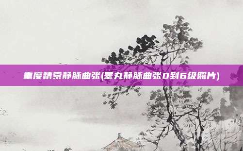 重度精索静脉曲张(睾丸静脉曲张0到6级照片)