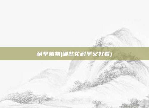 耐旱植物(哪些花耐旱又好看)