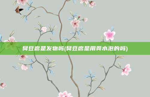 臭豆腐是发物吗(臭豆腐是用粪水泡的吗)