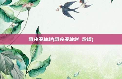 阳光多灿烂(阳光多灿烂 歌词)