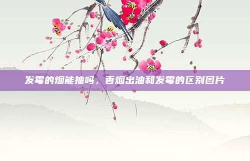 发霉的烟能抽吗,香烟出油和发霉的区别图片