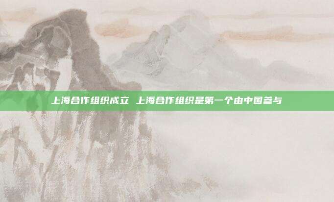 上海合作组织成立 上海合作组织是第一个由中国参与