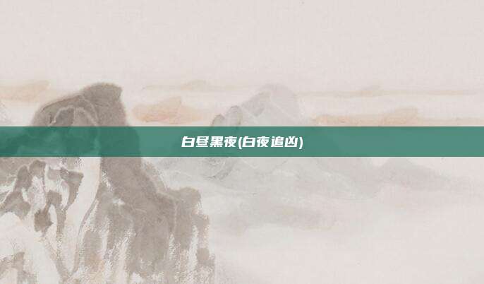 白昼黑夜(白夜追凶)