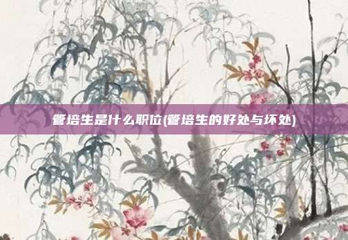 管培生是什么职位(管培生的好处与坏处)