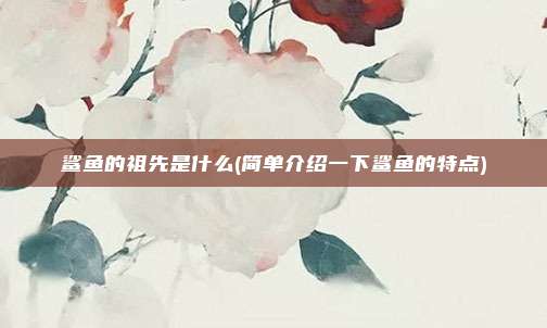 鲨鱼的祖先是什么(简单介绍一下鲨鱼的特点)