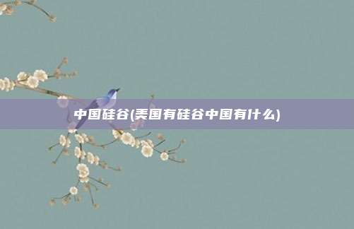 中国硅谷(美国有硅谷中国有什么)