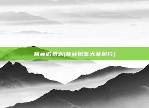 苔藓微景观(苔藓图鉴大全图片)