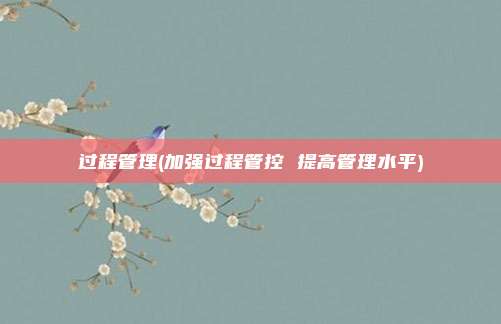 过程管理(加强过程管控 提高管理水平)