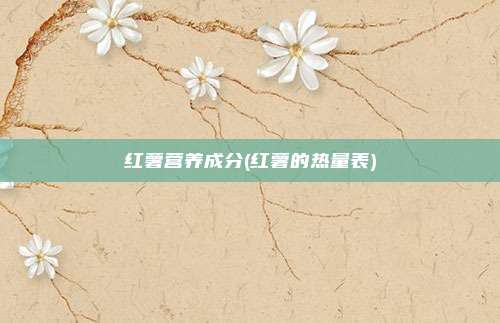 红薯营养成分(红薯的热量表)
